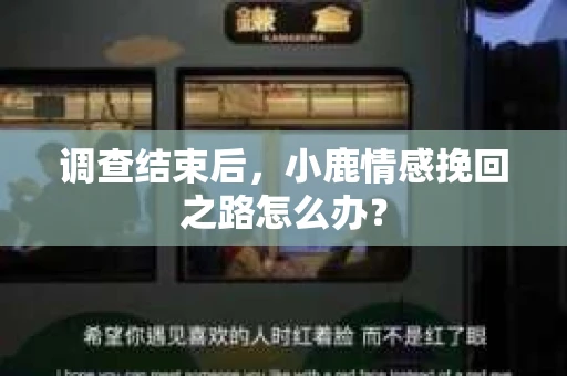 调查结束后，小鹿情感挽回之路怎么办？