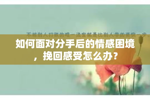 如何面对分手后的情感困境，挽回感受怎么办？