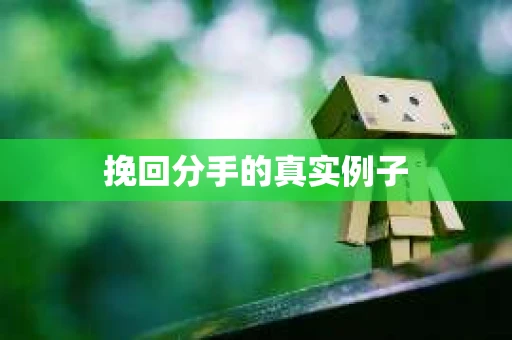 挽回分手的真实例子