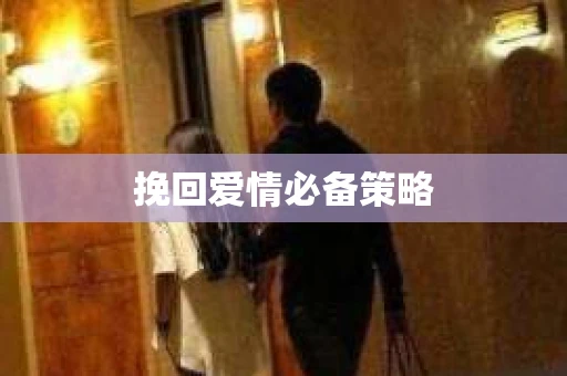 挽回爱情必备策略
