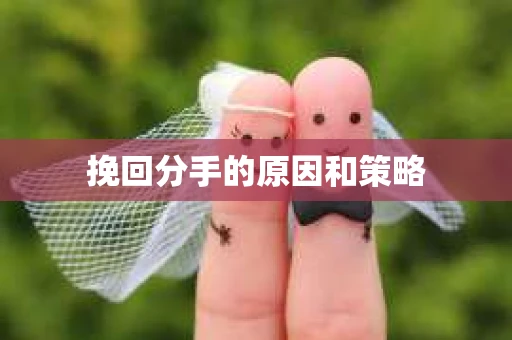 挽回分手的原因和策略