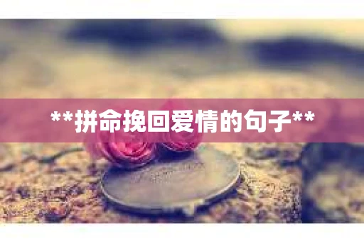 **拼命挽回爱情的句子**