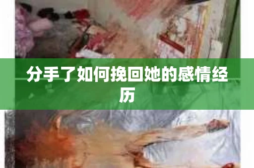 分手了如何挽回她的感情经历
