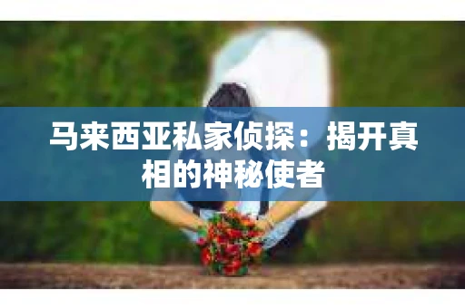 马来西亚私家侦探：揭开真相的神秘使者
