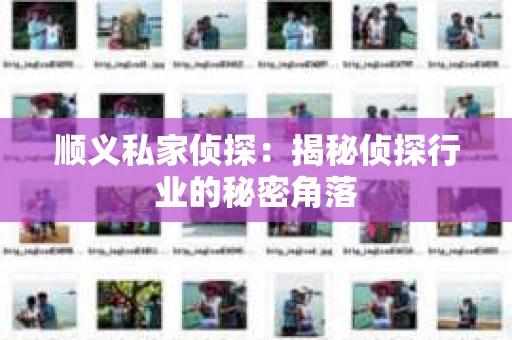顺义私家侦探：揭秘侦探行业的秘密角落