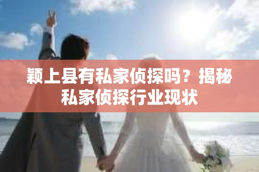 颖上县有私家侦探吗？揭秘私家侦探行业现状