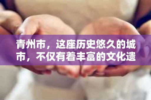 青州市，这座历史悠久的城市，不仅有着丰富的文化遗产，也有着现代生活的便捷。那么，问题来了——青州市有私家侦探公司吗？这个问题，对于需要侦探服务的人来说，无疑至关重要。接下来，我就来为大家揭开这个谜底。