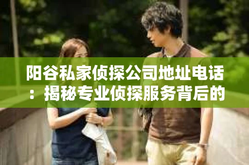 阳谷私家侦探公司地址电话：揭秘专业侦探服务背后的故事