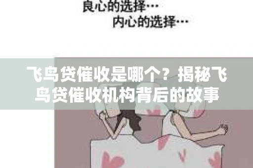 飞鸟贷催收是哪个？揭秘飞鸟贷催收机构背后的故事