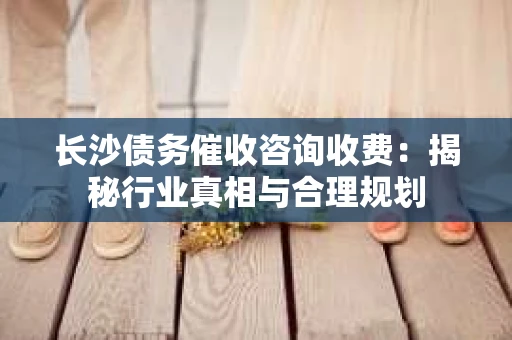 长沙债务催收咨询收费：揭秘行业真相与合理规划