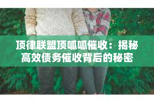 顶律联盟顶呱呱催收：揭秘高效债务催收背后的秘密