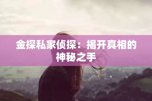金探私家侦探:揭开真相的神秘之手 金探私家侦探:揭开真相的神秘之手