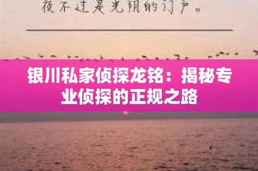 银川私家侦探龙铭：揭秘专业侦探的正规之路