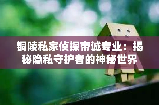 铜陵私家侦探帝诚专业：揭秘隐私守护者的神秘世界