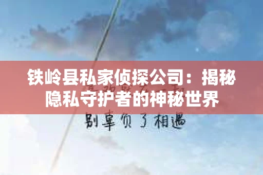 铁岭县私家侦探公司：揭秘隐私守护者的神秘世界