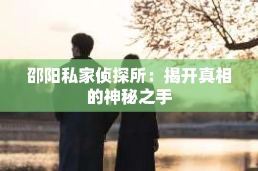 邵阳私家侦探所：揭开真相的神秘之手