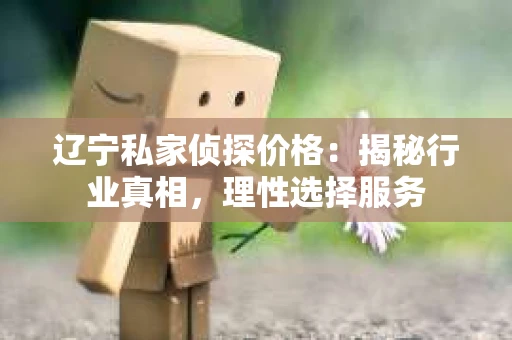 辽宁私家侦探价格：揭秘行业真相，理性选择服务