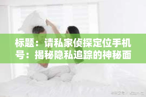 标题：请私家侦探定位手机号：揭秘隐私追踪的神秘面纱