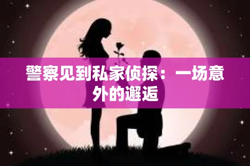警察见到私家侦探：一场意外的邂逅