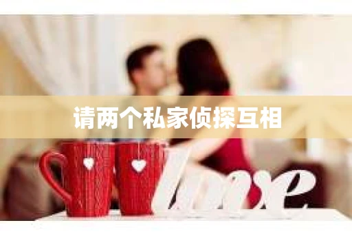 请两个私家侦探互相