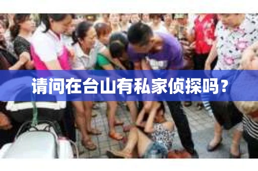 请问在台山有私家侦探吗？