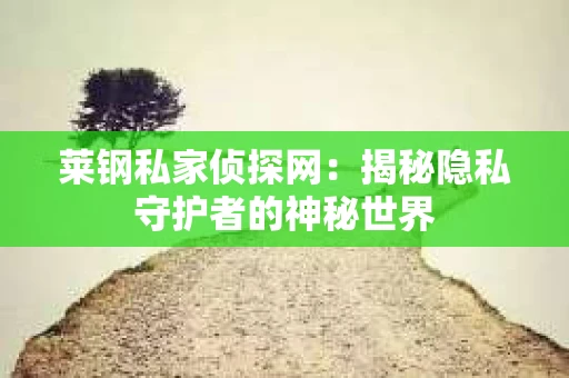 莱钢私家侦探网：揭秘隐私守护者的神秘世界