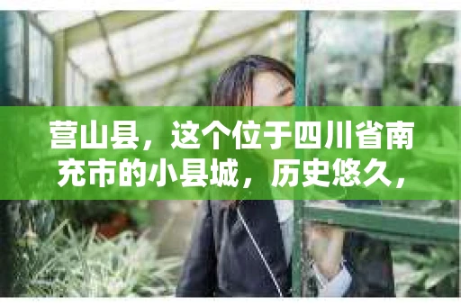 营山县，这个位于四川省南充市的小县城，历史悠久，风景秀丽。但在这个宁静的小县城里，你是否会好奇，有没有私家侦探的存在呢？今天，我就来和大家聊聊这个话题。