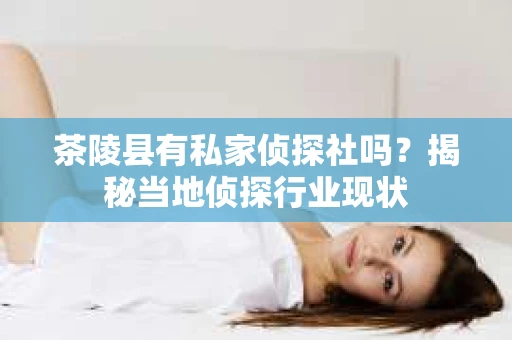 茶陵县有私家侦探社吗？揭秘当地侦探行业现状