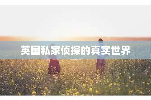 英国私家侦探的真实世界
