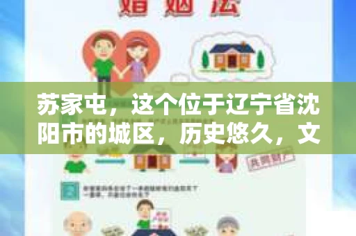 苏家屯，这个位于辽宁省沈阳市的城区，历史悠久，文化底蕴深厚。近年来，随着社会的发展，人们对于私家侦探的需求也逐渐增加。那么，苏家屯有私家侦探吗？今天，我们就来聊聊这个话题。