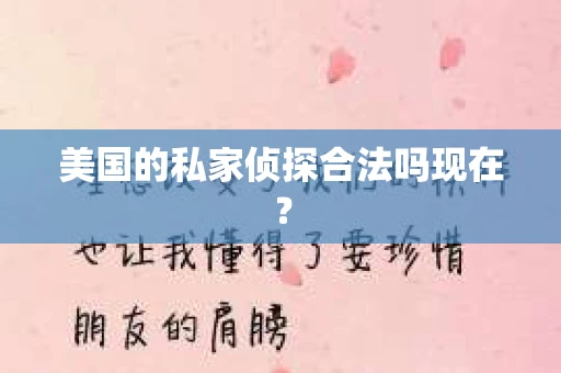 美国的私家侦探合法吗现在？