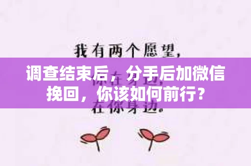 调查结束后，分手后加微信挽回，你该如何前行？