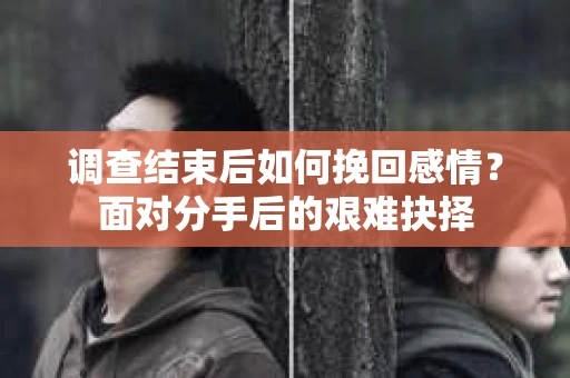 调查结束后如何挽回感情?面对分手后的艰难抉择 调查结束后如何挽回感情?面对分手后的艰难抉择