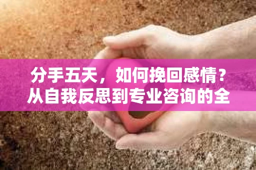 分手五天,如何挽回感情?从自我反思到专业咨询的全面解决方案 分手五天,如何挽回感情?从自我反思到专业咨询的全面解决方案