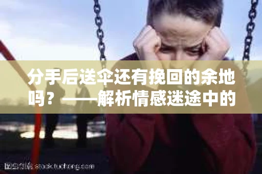 分手后送伞还有挽回的余地吗？——解析情感迷途中的决策