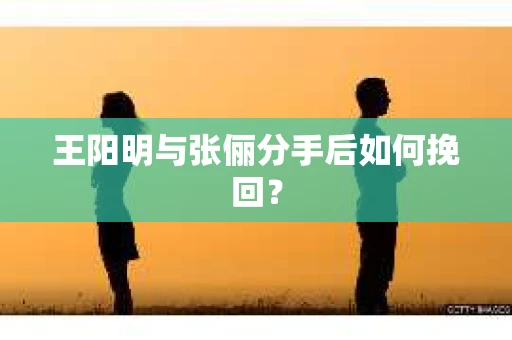 王阳明与张俪分手后如何挽回？